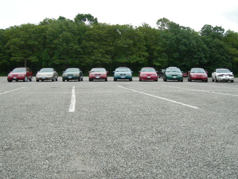 1992 Ford Taurus - A row of 1992 Ford Taurus sedans are parked in a lot, with trees in the background.