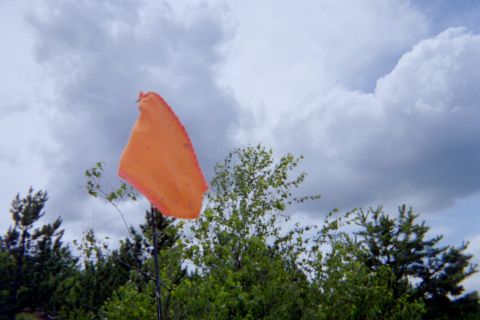 2005 Dodge 1500 - An orange flag flutters on a pole amidst trees under a dramatic sky.