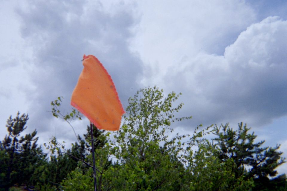 Orange flag waving on a pole against a cloudy sky with trees