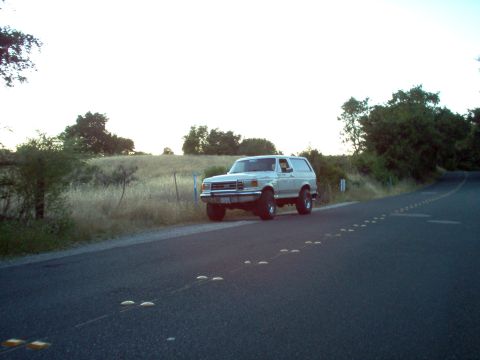 1990 Ford Bronco photo