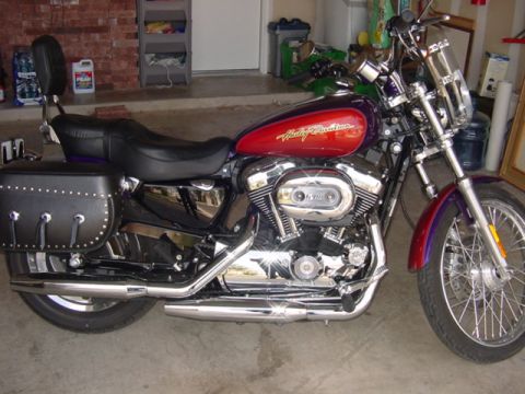 2006 Harley-Davidson Sportster Custom “Plum Crazy Purple”