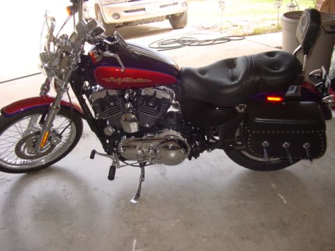 2006 Harley-Davidson Sportster Custom - Side view of a purple and red 2006 Harley-Davidson Sportster Custom motorcycle with saddlebags.