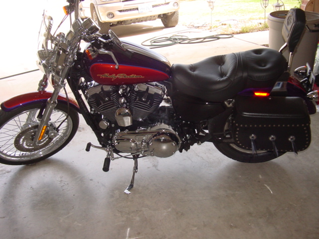 Purple and red 2006 Harley-Davidson Sportster Custom motorcycle, side view