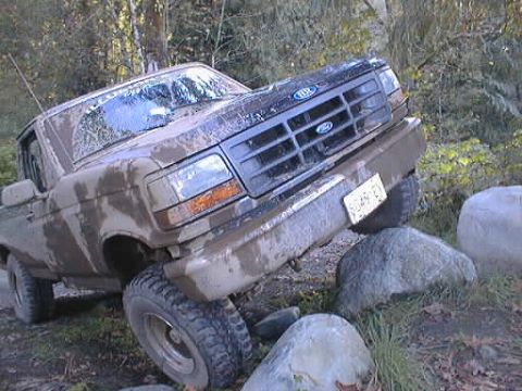 1995 Ford F-150 - eh?