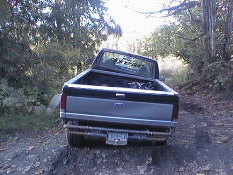 1995 Ford F-150 - Tail gate flex!