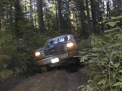 1995 Ford F-150 - Planet Endor?