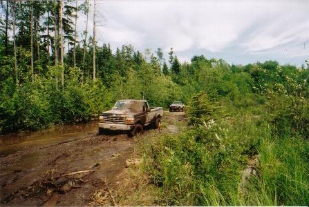 1995 Ford F-150 - Rolly lake