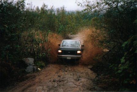 1995 Ford F-150 - coming out!