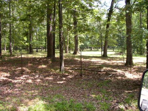 1995 Ford Bronco - A view of a wooded area with a fence line, taken from inside a vehicle.