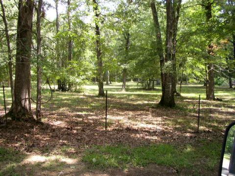 1995 Ford Bronco - A wooded area with a wire fence and a partial vehicle mirror visible on the right side of the frame.