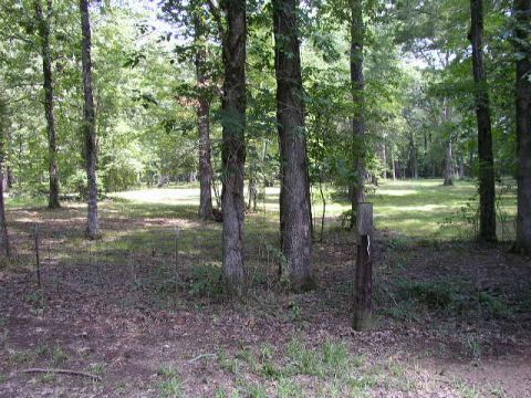 1995 Ford Bronco - A view of a wooded area with a fence and a post.