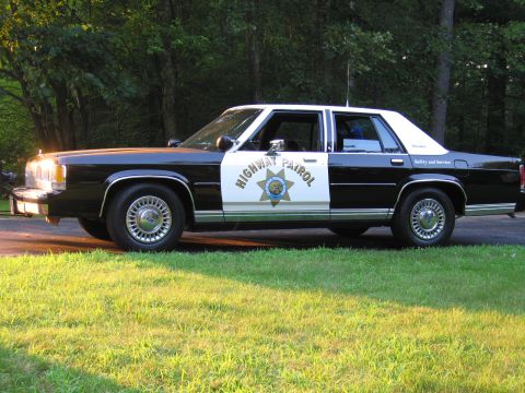 1991 Ford LTD Crown Victoria - This 1991 Ford Crown Victoria police car is parked on a grassy area with trees in the background.