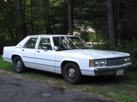 1991 Ford LTD Crown Victoria - White 1991 Ford Crown Victoria LTD parked on grass with trees in the background.