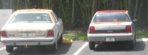 1988 Ford Crown Victoria LTD - My Vic and my Oldsmobile