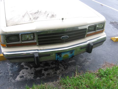 1988 Ford Crown Victoria LTD - What little I could get of her front end - I know it isn't great but I had LOTS of trees behind me