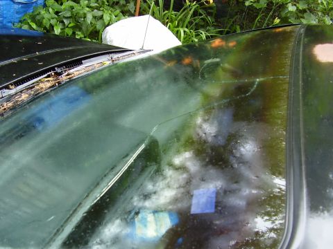 1990 Ford Taurus photo