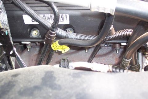 2003 Ford Crown Victoria photo