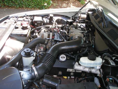2001 Ford Crown Victoria - Engine bay of a 2001 Ford Crown Victoria, the Ford logo on the valve cover and various engine components.