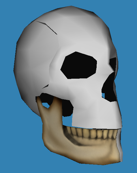 1969 Ford Mustang - This is a 3D rendering of a human skull, not a 1969 Ford Mustang.