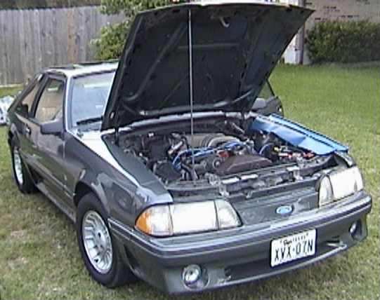 1989 Ford Mustang “Charm”