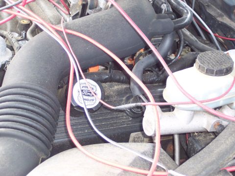 1991 Ford LTD Crown Victoria - Close-up of an engine bay, showing a Ford Police Vehicles cap and brake fluid reservoir.
