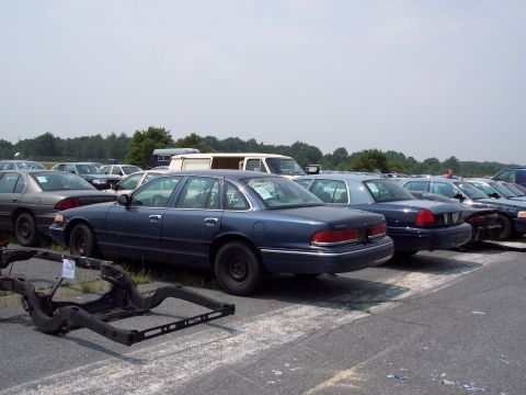 1991 Ford LTD Crown Victoria - Several Ford Crown Victoria sedans are parked in a lot under a hazy sky.