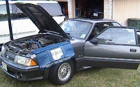 1989 Ford Mustang - Chillin...