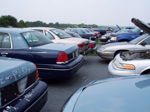 1991 Ford LTD Crown Victoria - Multiple Ford Crown Victorias are parked in a lot, some with hoods open.