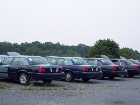 1991 Ford LTD Crown Victoria - Multiple police cruisers are parked in a lot, showing their rear profiles under an overcast sky.