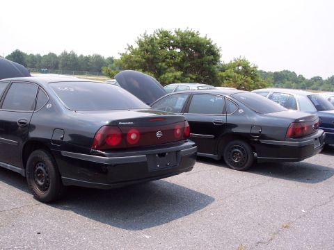1991 Ford LTD Crown Victoria - Several black sedans are parked in an outdoor lot, with some hoods open, under a bright sky.