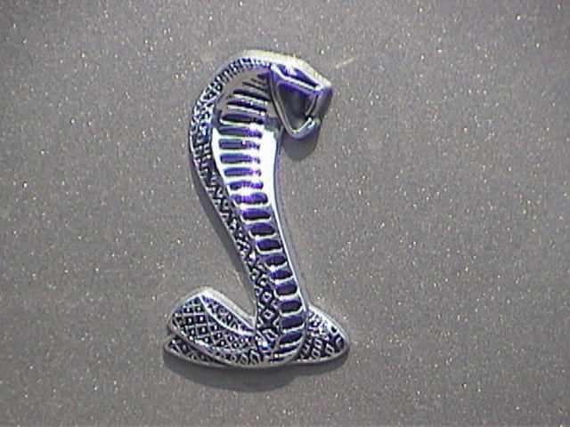 Cobra emblem on a speckled surface
