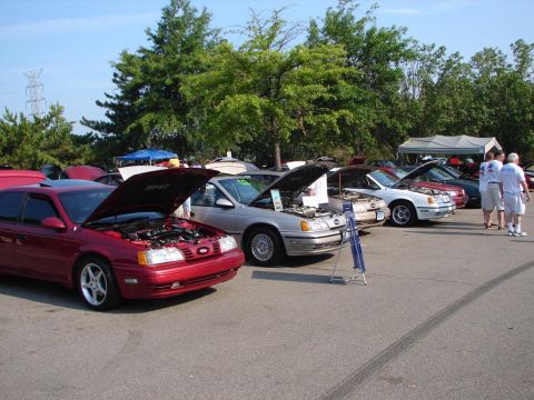 1992 Ford Taurus - Several Ford Tauruses are parked with their hoods open at an outdoor car show.