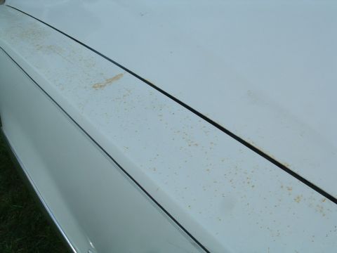 1975 Ford Torino - Close-up of a white car's hood, showing a seam and scattered rust spots, consistent with a 1975 Ford Torino.
