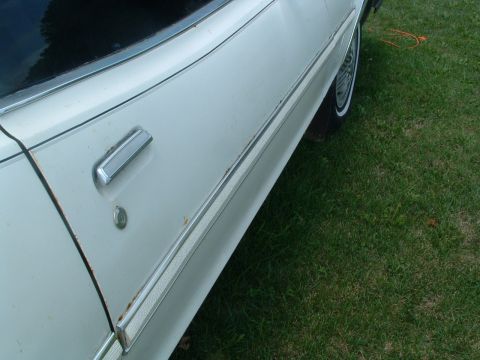 1975 Ford Torino - Side view of a white car door with chrome accents and visible rust, parked on grass.