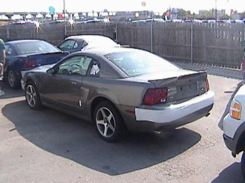1989 Ford Mustang - This gray Ford Mustang, likely a 1999 model, is seen from the rear with a white bumper.