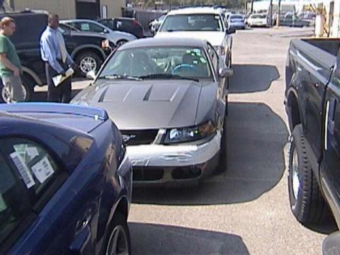 1989 Ford Mustang - A silver Ford Mustang is parked next to a blue car, with other vehicles visible in the background.