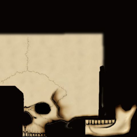 1969 Ford Mustang - A graphic illustration of a skull with aged parchment texture and a website address.