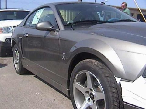 1989 Ford Mustang - This Mustang appears to be from the early 2000s, not a 1989 model.