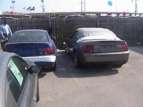 1989 Ford Mustang - Two Ford Mustangs are parked side-by-side, with the rear of a blue Mustang in the foreground and a gray Mustang covered with a tarp behind…