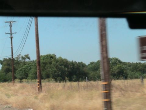 1971 Ford Bronco - A view through a car window shows telephone poles and trees under a clear blue sky.