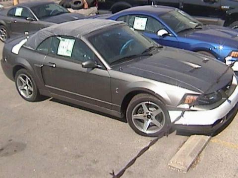 1989 Ford Mustang - Two Ford Mustangs, a convertible and a coupe, are parked outdoors with window stickers visible on both.