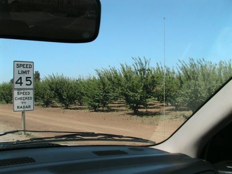 1971 Ford Bronco - Driving past a speed limit sign and a field of trees under a clear blue sky.