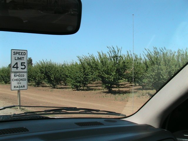 View from inside a vehicle looking at a speed limit 45 sign and rows of trees