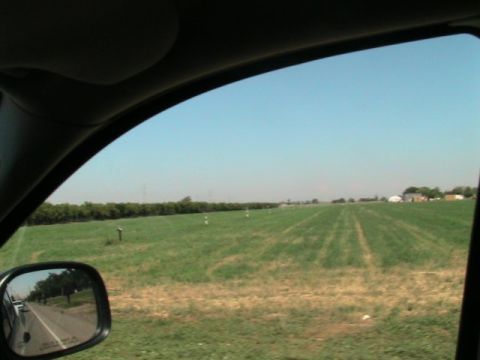 1971 Ford Bronco - Driving past a farm field with crops and trees lining the horizon.