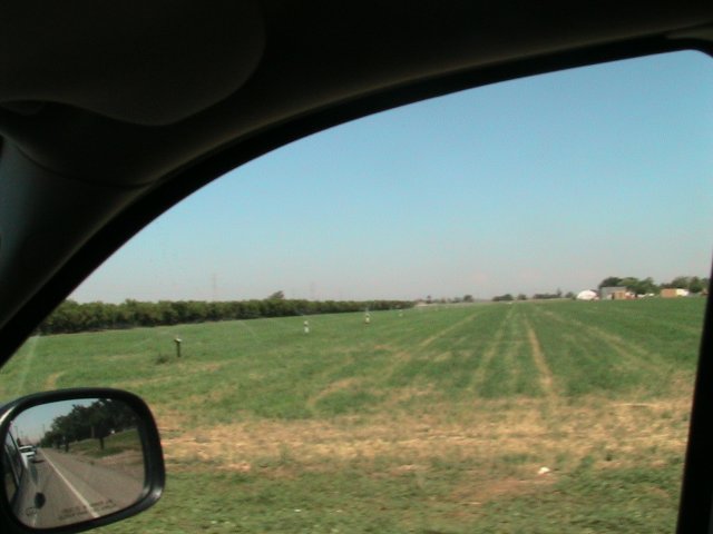 View from car window of a green farm field with trees and buildings in the distance under a clear blue sky