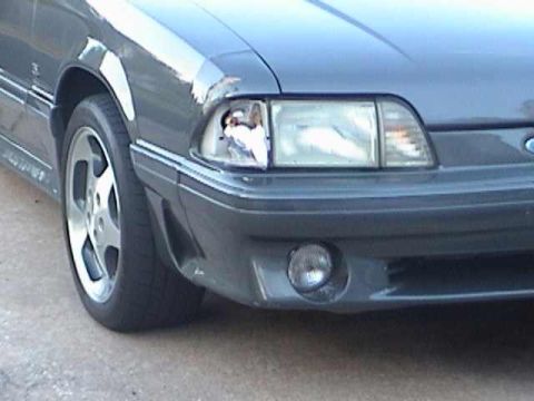 1989 Ford Mustang - The front corner of a gray 1989 Ford Mustang shows a damaged headlight and fog light.