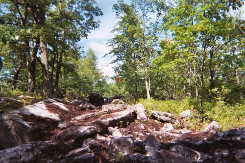 2004 Honda TRX 450 FM - An all-terrain vehicle navigates a challenging rocky path through a dense forest.