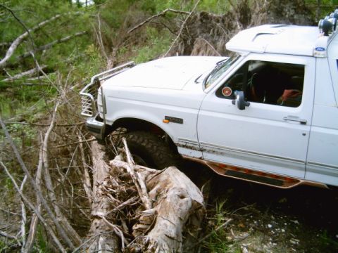 1995 Ford Bronco - This white Ford Bronco is navigating a difficult off-road path, driving over a large fallen tree in a dense forest.