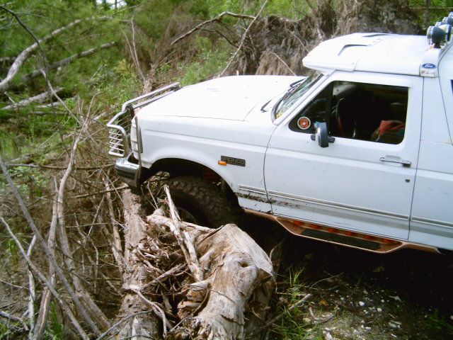 White lifted Ford Bronco crawling over a fallen log on a wooded trail