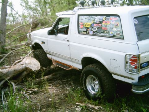 1995 Ford Bronco - A white Ford Bronco navigates a wooded area with fallen trees and debris on the ground.